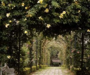 Picking Out Your Perfect Wedding Day